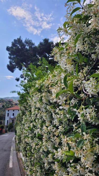 Vista Bella House Sanremo Exterior foto